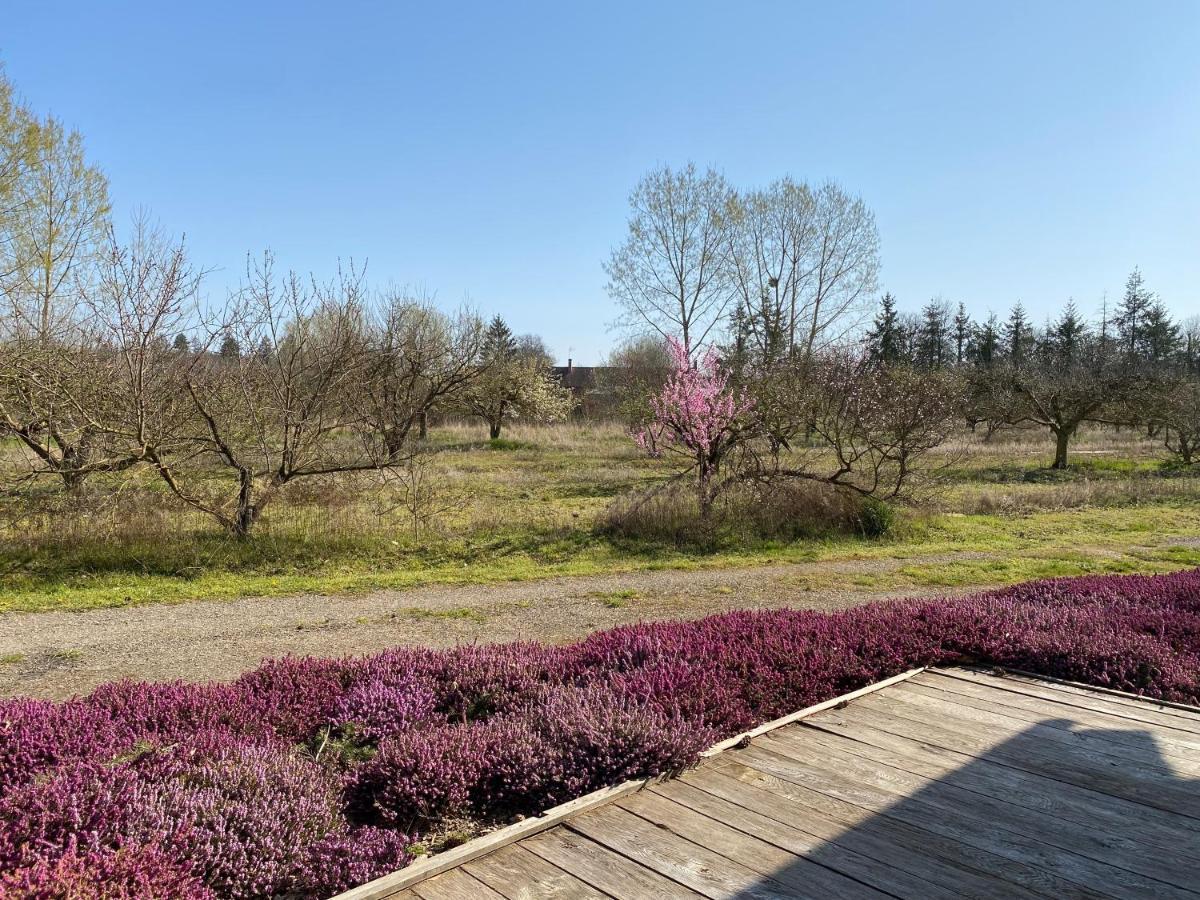 Le Gite De L'Etoile Du Jour Neung-sur-Beuvron Exterior foto